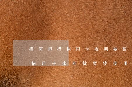 招商銀行信用卡逾期被暫停使用-招商銀行信用卡逾期被暫停使用怎么恢復(fù)