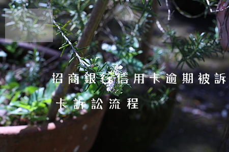 招商銀行信用卡逾期被訴訟(被招商銀行信用卡訴訟流程)