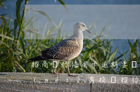 招商銀行信用卡逾期要報(bào)案(有沒(méi)有投訴招行信用卡疫情期間逾期成功的)