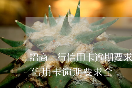 招商銀行信用卡逾期要求全額還清（招商銀行信用卡逾期要求全額還清）
