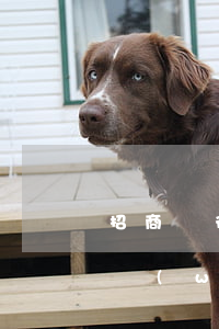 招商銀行信用卡逾期要轉(zhuǎn)法務(wù)訴訟-招商逾期轉(zhuǎn)法務(wù)部寄訴訟涵