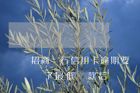 招商銀行信用卡逾期要還全款-招商銀行卡還了最低還款后還會(huì)逾期嗎