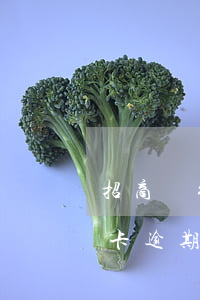 招商銀行信用卡逾期要還全額（招商銀行信用卡逾期要還全額）