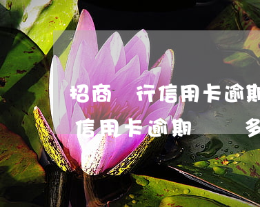 招商銀行信用卡逾期計(jì)算(招商銀行信用卡逾期記錄多長(zhǎng)時(shí)間消除)