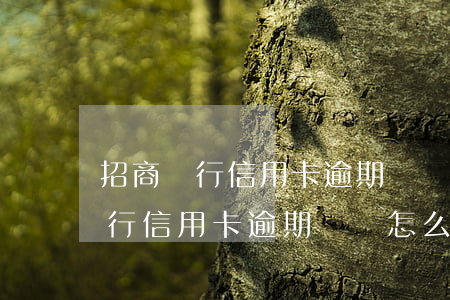 招商銀行信用卡逾期記錄怎么消除-招商銀行信用卡逾期記錄怎么消除掉