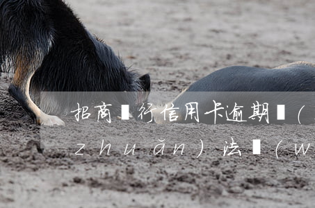 招商銀行信用卡逾期說(shuō)要轉(zhuǎn)法務(wù)部-招商銀行信用卡逾期說(shuō)要轉(zhuǎn)法務(wù)部要戶口本