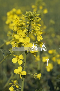 招商銀行信用卡逾期說起訴(招商銀行逾期起訴了,銀行就是不同意協(xié)調)