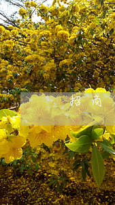 招商銀行信用卡逾期警察上門