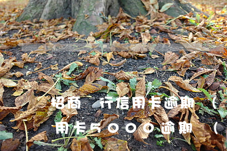 招商銀行信用卡逾期費(fèi)怎么算(信用卡5000逾期費(fèi)用怎么算)