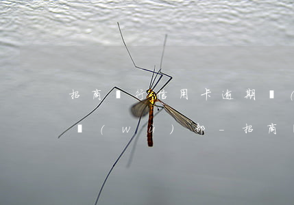 招商銀行信用卡逾期轉(zhuǎn)到法務(wù)部-招商銀行信用卡逾期轉(zhuǎn)到法務(wù)部怎么辦