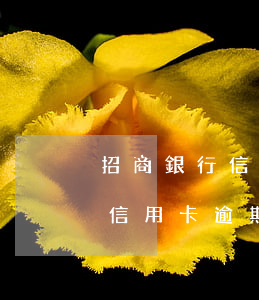 招商銀行信用卡逾期通知家人還款（招商銀行信用卡逾期通知家人）