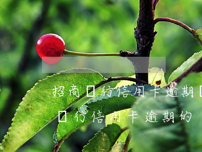 招商銀行信用卡逾期違約金咋算(有沒有招商銀行信用卡逾期的)