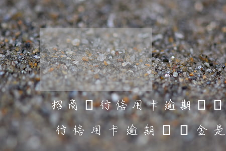 招商銀行信用卡逾期違約金是多少-招商銀行信用卡逾期違約金是多少錢