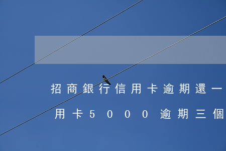 招商銀行信用卡逾期還一百元-招商銀行信用卡5000逾期三個(gè)月要起訴我真的么