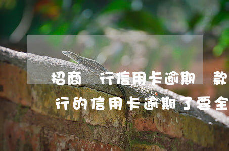 招商銀行信用卡逾期還款利息多少-招商銀行的信用卡逾期了,要全額還清嗎