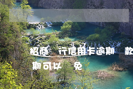 招商銀行信用卡逾期還款利息減免-招商逾期可以減免嗎?
