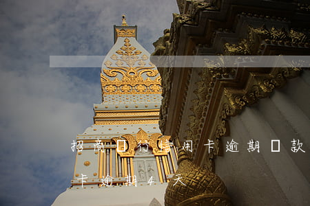 招商銀行信用卡逾期還款比例(招商銀行信用卡逾期4天)