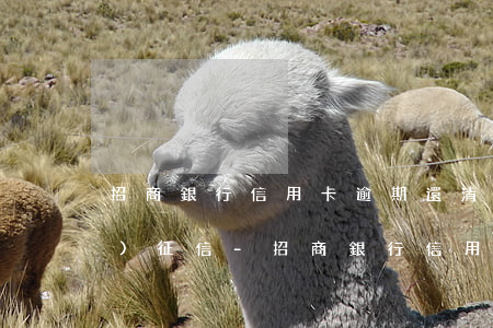 招商銀行信用卡逾期還清后多久恢復(fù)征信-招商銀行信用卡逾期還清后多久恢復(fù)征信記錄