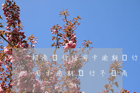 招商銀行信用卡逾期銀行不協商(招商銀行信用卡逾期銀行不協商)