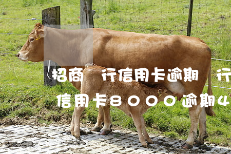 招商銀行信用卡逾期銀行找上門-招商銀行信用卡8000逾期4個月會上門嗎