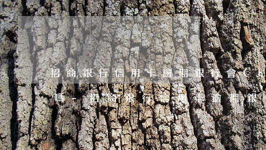 招商銀行信用卡逾期銀行會(huì)起訴嗎-招商銀行信用卡逾期銀行會(huì)起訴嗎知乎