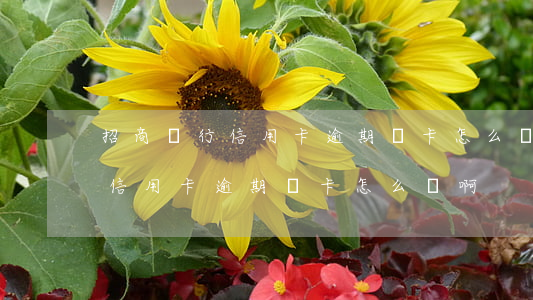 招商銀行信用卡逾期鎖卡怎么辦-招商銀行信用卡逾期鎖卡怎么辦啊