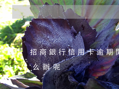 招商銀行信用卡逾期開卡(招商信用卡逾期怎么辦呢)