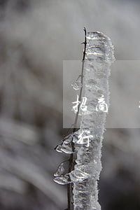 招商銀行信用卡違約金可以退還嗎-招商銀行違約金怎么減免