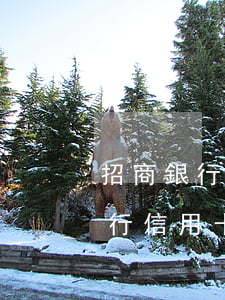 招商銀行信用卡還款日逾期一個月-招商銀行信用卡還款日逾期一個月會怎么樣