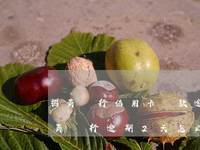 招商銀行信用卡還款逾期一個(gè)月(招商銀行逾期2天怎么還不了信用卡)