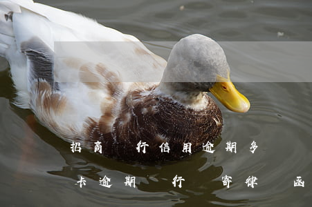 招商銀行信用逾期多長時間會送律師函（信用卡逾期銀行郵寄律師函會怎么樣）