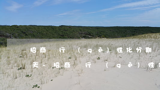 招商銀行個(gè)性化分期還款,推遲了一天-招商銀行個(gè)性化分期還款,推遲了一天怎么辦
