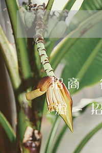 招商銀行個性化分期協(xié)商電話豆瓣-招商銀行個性化分期協(xié)商不成功