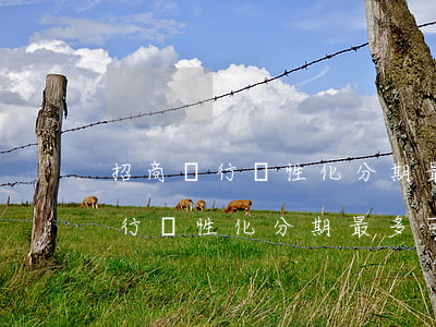 招商銀行個性化分期最多可以多久-招商銀行個性化分期最多可以多久還款