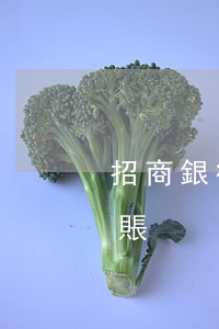 招商銀行停息掛賬申請通過理由 招行 停息掛賬