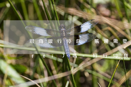招商銀行停息掛賬還需要手續(xù)費(fèi)嗎-招行停息掛賬費(fèi)用
