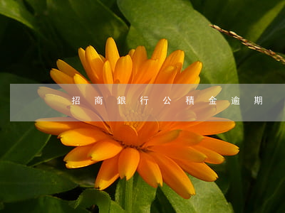 招商銀行公積金逾期