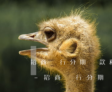 招商銀行分期還款和賬單分期區(qū)別-招商銀行分期還款和賬單分期區(qū)別在哪里