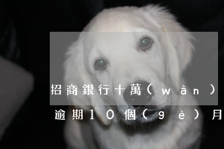 招商銀行十萬(wàn)逾期倆月(招商銀行逾期10個(gè)月還了可以繼續(xù)使用嗎)