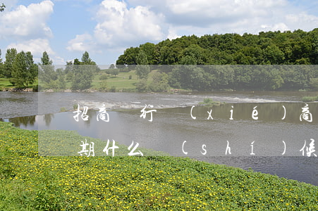 招商銀行協(xié)商個(gè)性化分期什么時(shí)候打電話-招商銀行協(xié)商個(gè)性化分期還款要些什么證明