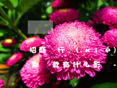 招商銀行協(xié)商個(gè)性化分期還款有什么影響-招商銀行協(xié)商個(gè)性化分期還款有什么影響嗎