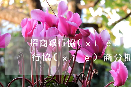 招商銀行協(xié)商分期成功-招商銀行協(xié)商分期成功后還不起