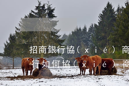 招商銀行協(xié)商分期話術-招商銀行如何協(xié)商分期