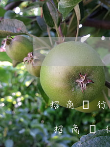 招商銀行協(xié)商還款 免除利息嗎-招商銀行一次性還款減免