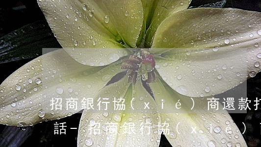 招商銀行協(xié)商還款打什么電話電話-招商銀行協(xié)商還款打什么電話電話客服