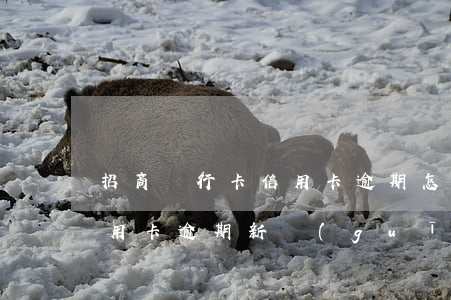 招商銀行卡信用卡逾期怎么辦(2020年信用卡逾期新規(guī)定招商銀行)