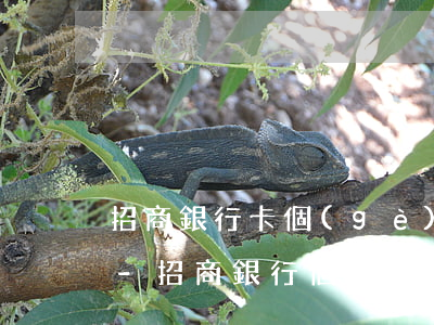 招商銀行卡個(gè)性化分期要哪些資料-招商銀行個(gè)性化分期需要哪些材料