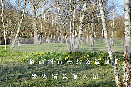 招商銀行卡怎么算逾期一天-招商銀行晚了幾天還款怎么辦
