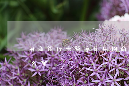 招商銀行卡暫停使用 招商銀行卡暫停使用怎么辦