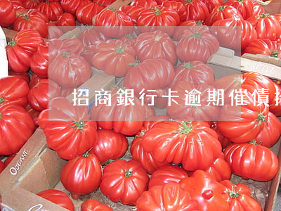 招商銀行卡逾期催債(招商銀行催款)